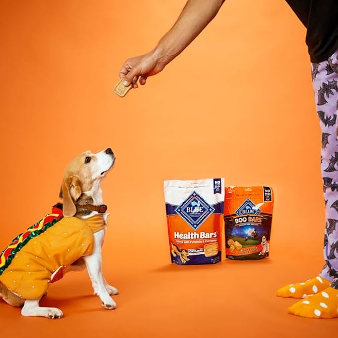 Blue Buffalo Health Bars Crunchy Dog Biscuits, Oven-Baked With Natural Ingredients, Pumpkin & Cinnamon, 16-oz Bag