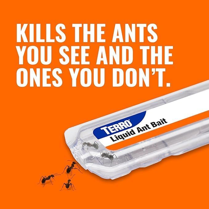 TERRO Ant Killer Bait Stations T300B - Liquid Bait to Eliminate Ants - 12 Count Stations for Effective Indoor Ant Control