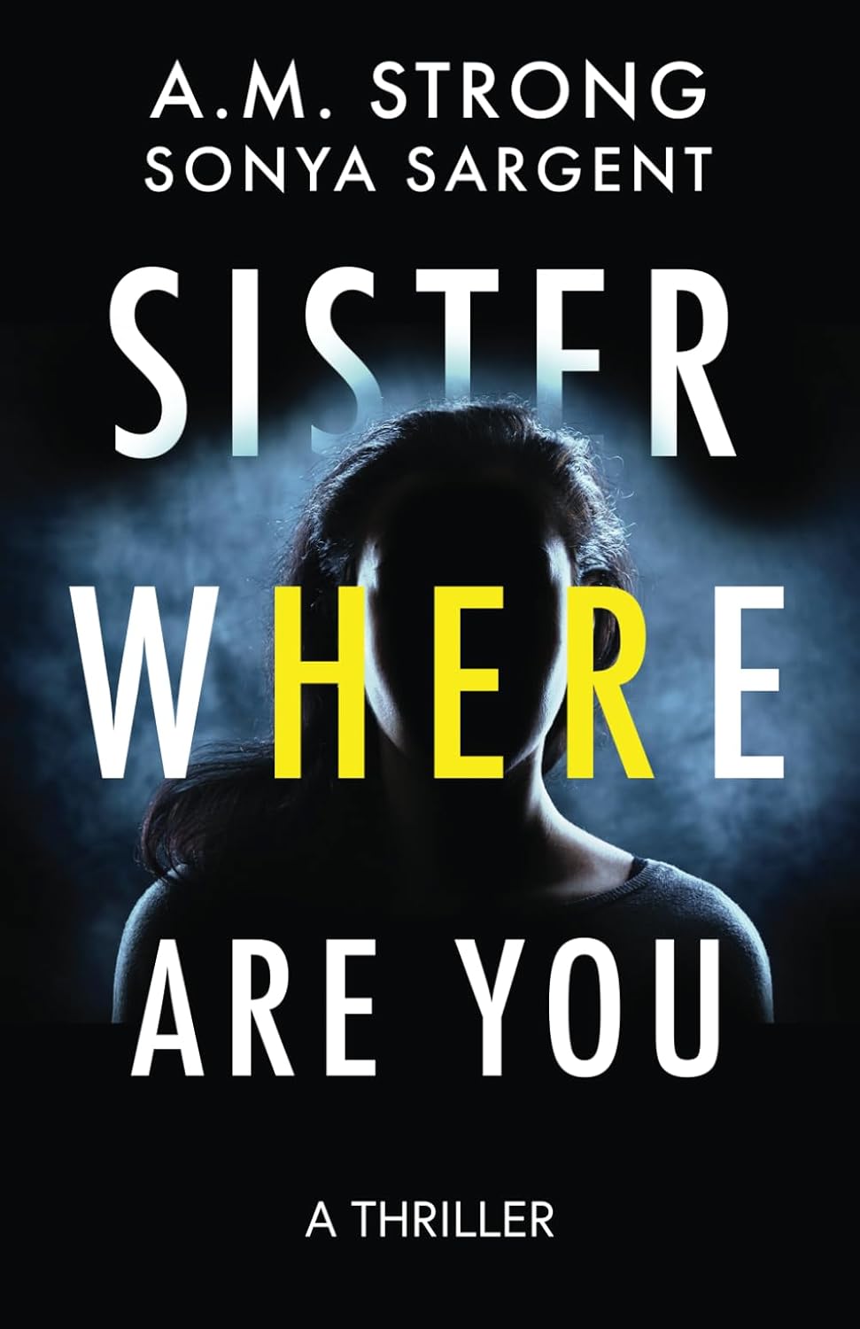 Sister Where Are You (Patterson Blake FBI Mystery Thrillers)