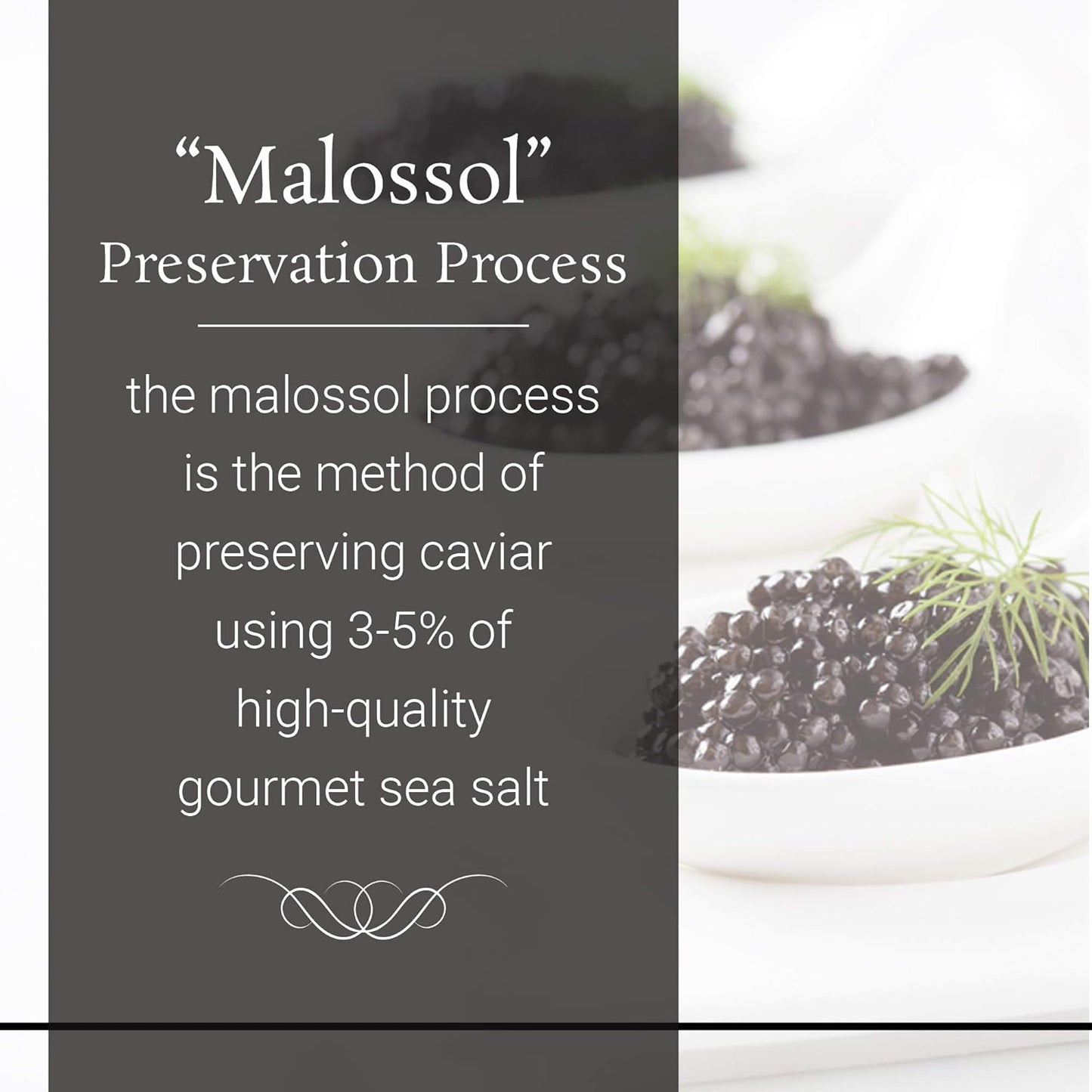 OVERNIGHT SHIPPING - OLMA Beluga Hybrid Black Caviar - Rated Top Caviar in the World - 0.5 oz / 14 g