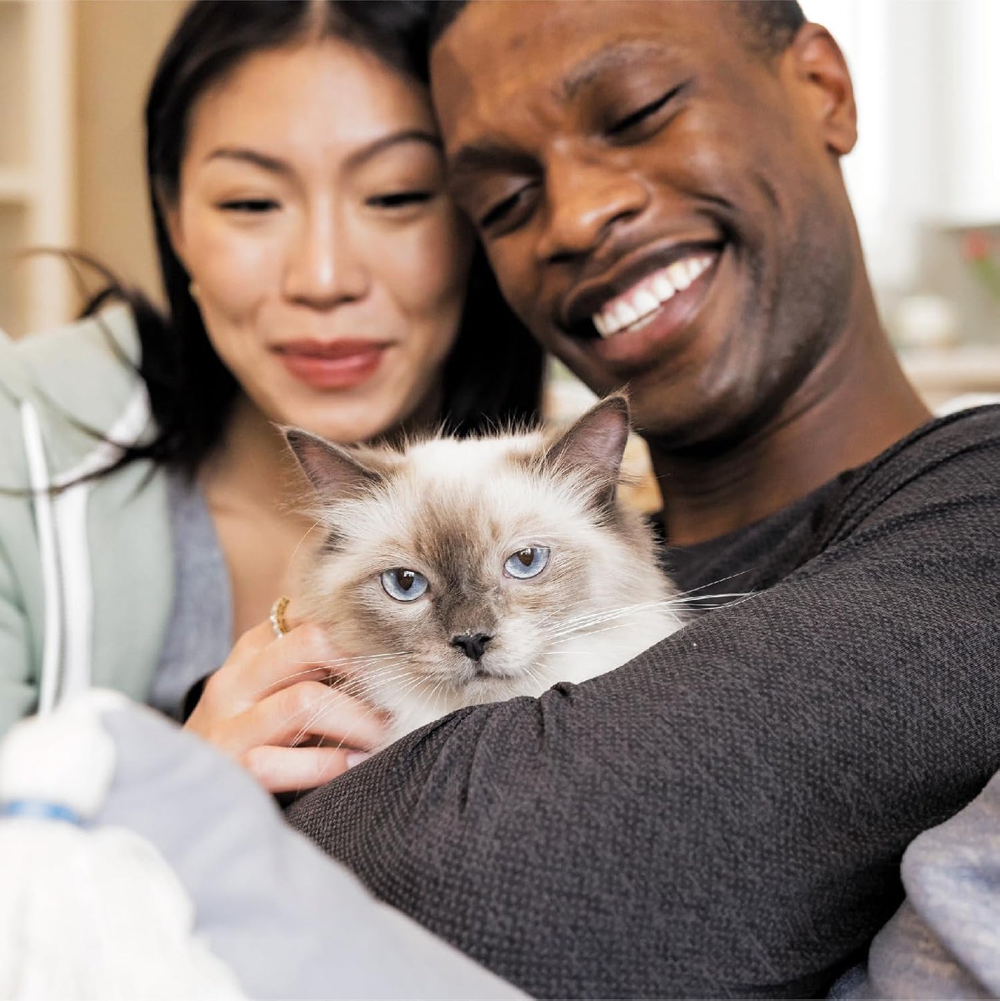 IAMS Proactive Health Indoor Weight & Hairball Care Adult Dry Cat Food with Chicken & Turkey, 7 lb. Bag