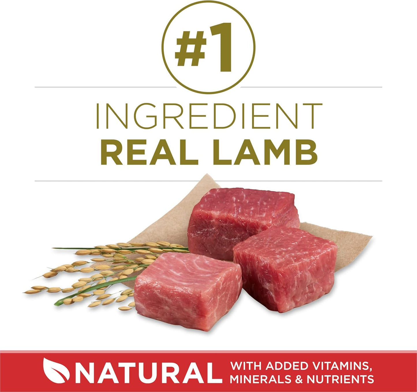 Purina ONE Dry Dog Food Lamb and Rice Formula - 8 lb. Bag - Cart Shape