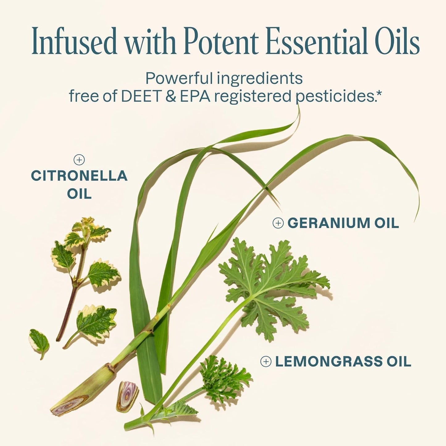 Mosquito Repellent Bracelets – Natural, DEET-Free Bug Bands for Adults & Kids – Individually Wrapped Insect Repellent for Outdoor Use (10-Pack)