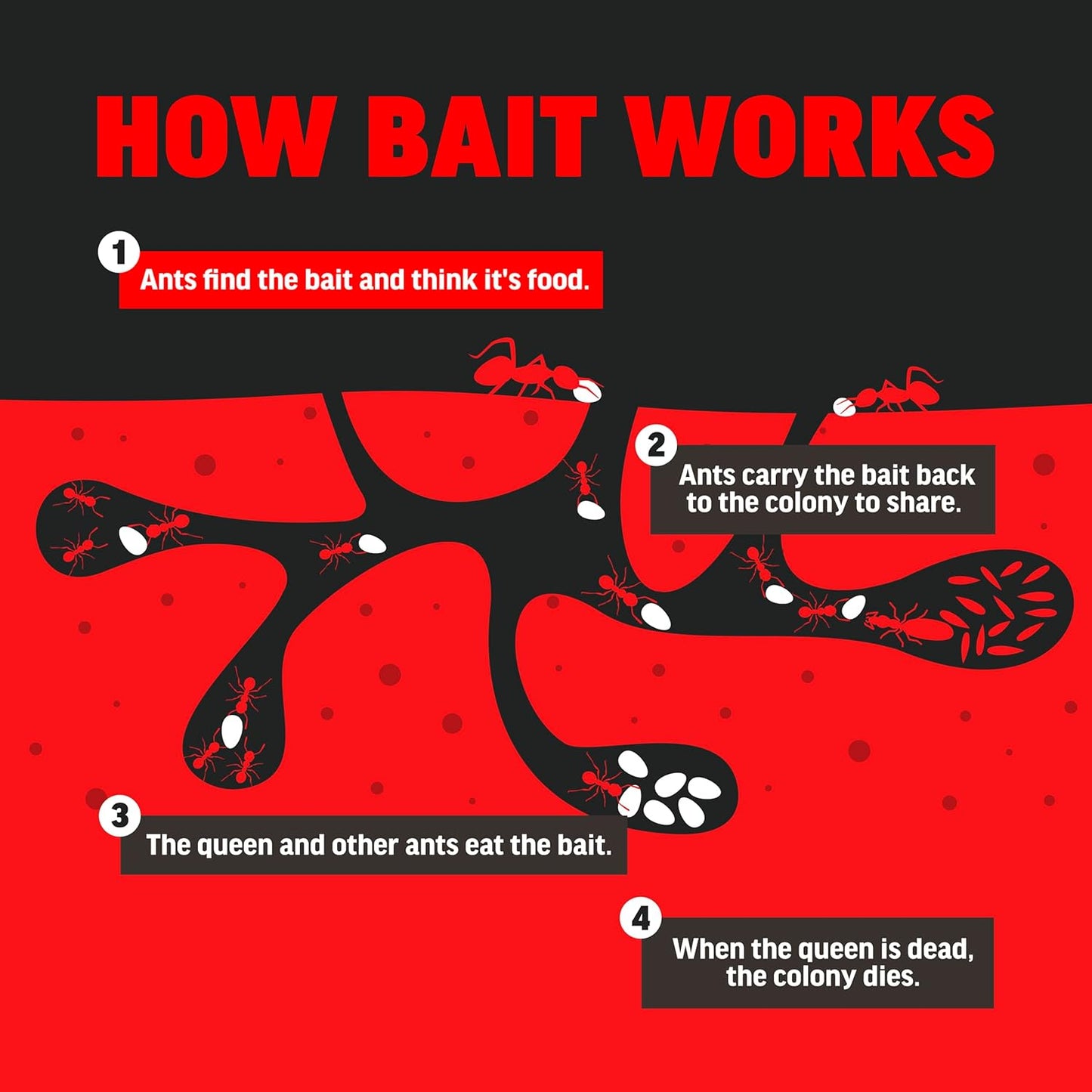 Amdro 100550427 Ant Killer for Outdoor Home Perimeter 24 oz, Black Label