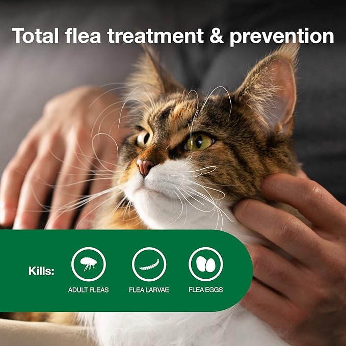Advantage II Large Cat Vet-Recommended Flea Treatment & Prevention | Cats Over 9 lbs. | 1-Month Supply