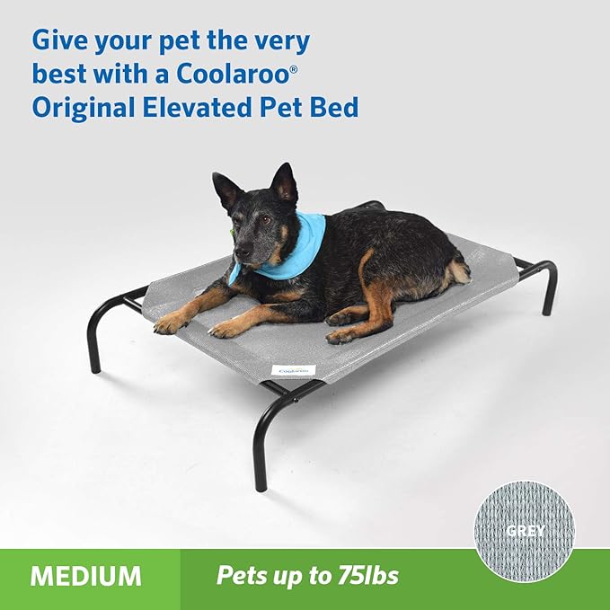 Coolaroo Original Elevated Dog Bed - Breathable Off-The-Ground Pet Bed with Cooling Fabric, Joint Relief & Moisture-Resistant Fabric, 100% Recyclable, Easy Clean, Grey, Medium