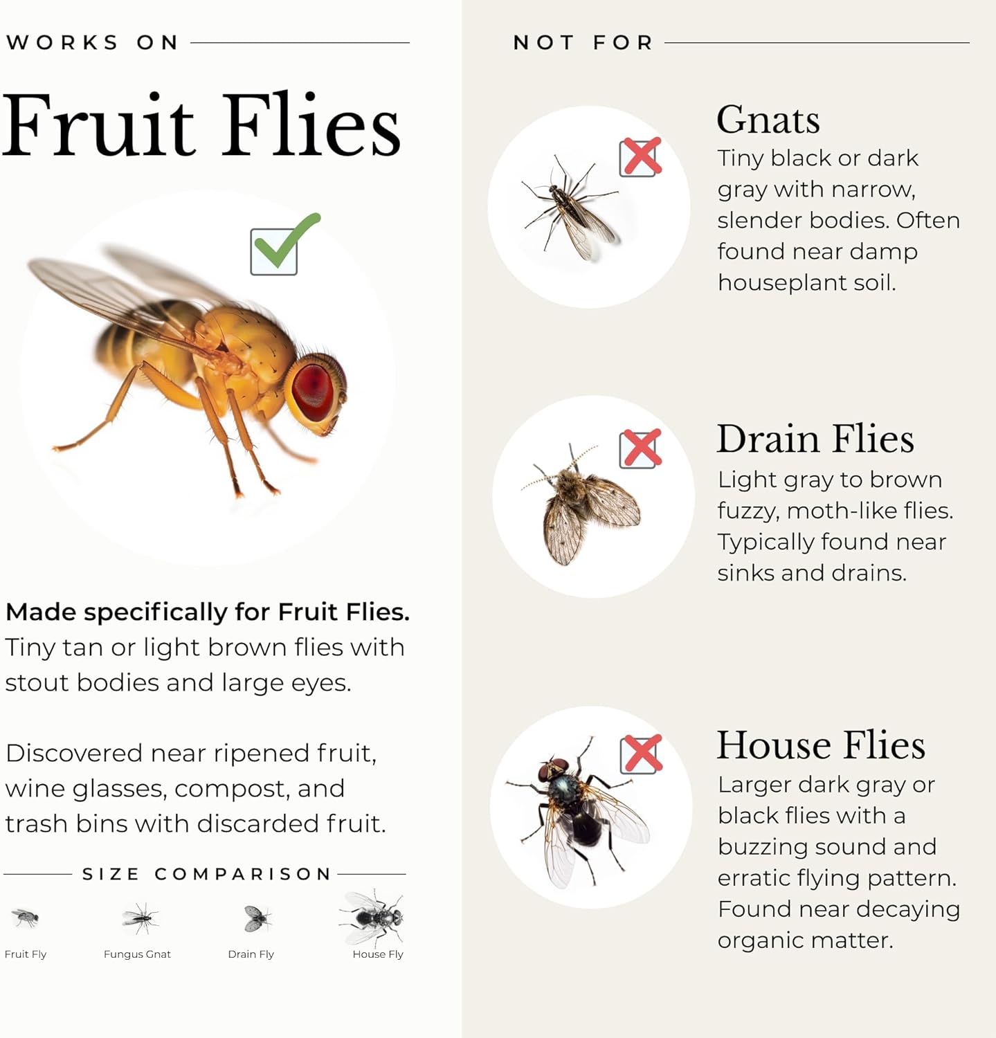 Wondercide - Fruit Fly Traps for Indoors - Fruit Fly Killer - Pet and People Safe - Made in USA & Plant Based - 5.4 oz - 2 Pack