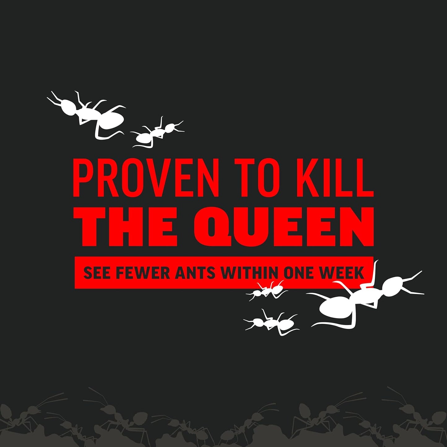 Amdro 100550427 Ant Killer for Outdoor Home Perimeter 24 oz, Black Label