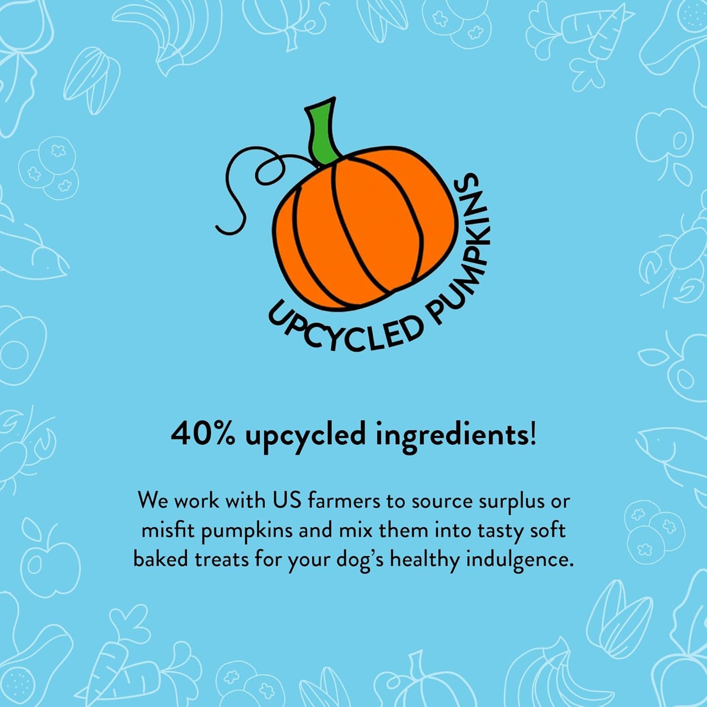 Shameless Pets Soft-Baked Pumpkin Nut Partay Dog Treats - Natural & Healthy Dog Chews for Digestive Support with Fiber - Baked & Made in USA, Grain, Corn & Soy Free - 3-Pack