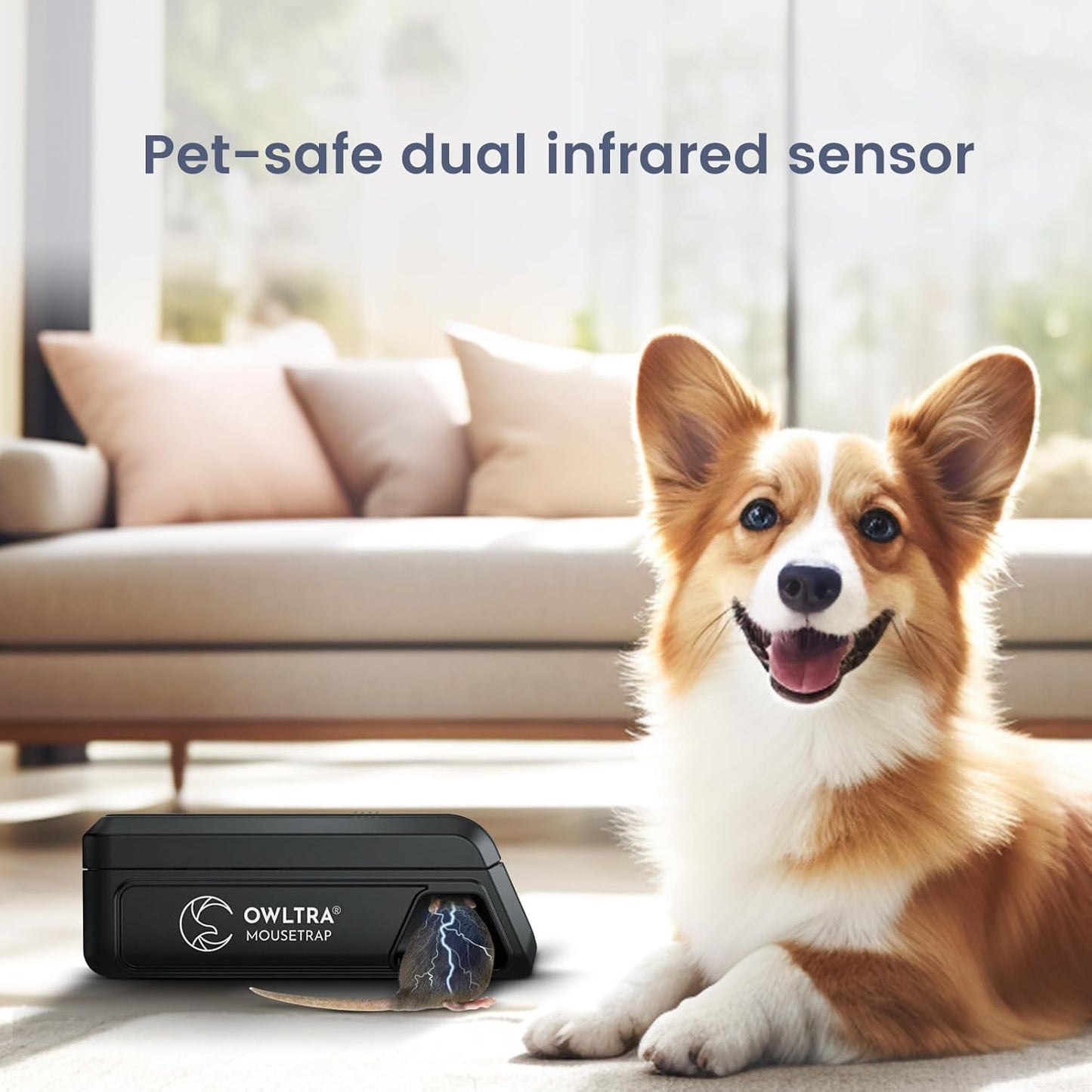 OW-2 Indoor Electric Mouse Trap 2 PCS, Instant Kill Rodent Zapper with Pet Safe Trigger, Black