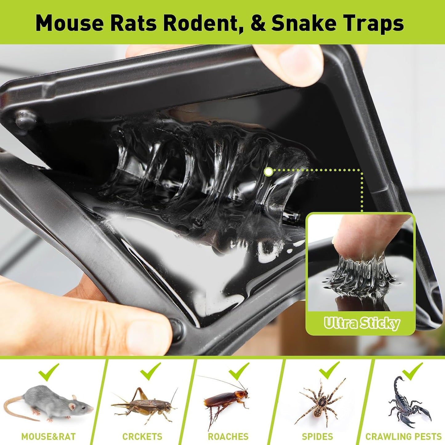 Glue Mouse Traps Indoor for Home, Rat Trap-12 Pack, Large Heavy Duty Glue Traps for Safe Home Pest Control. Pre-Scented, Non-Toxic Sticky Boards for Mice, Rats & More. Easy To Use