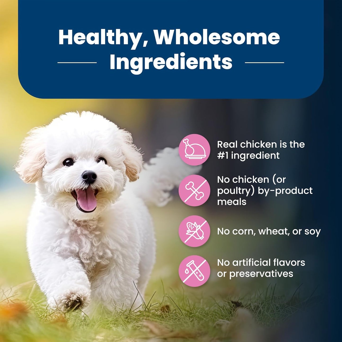 Blue Buffalo Life Protection Formula Adult Small Breed Dry Dog Food, Supports High Energy Needs, Made with Natural Ingredients, Chicken & Brown Rice Recipe, 5-lb. Bag - Cart Shape