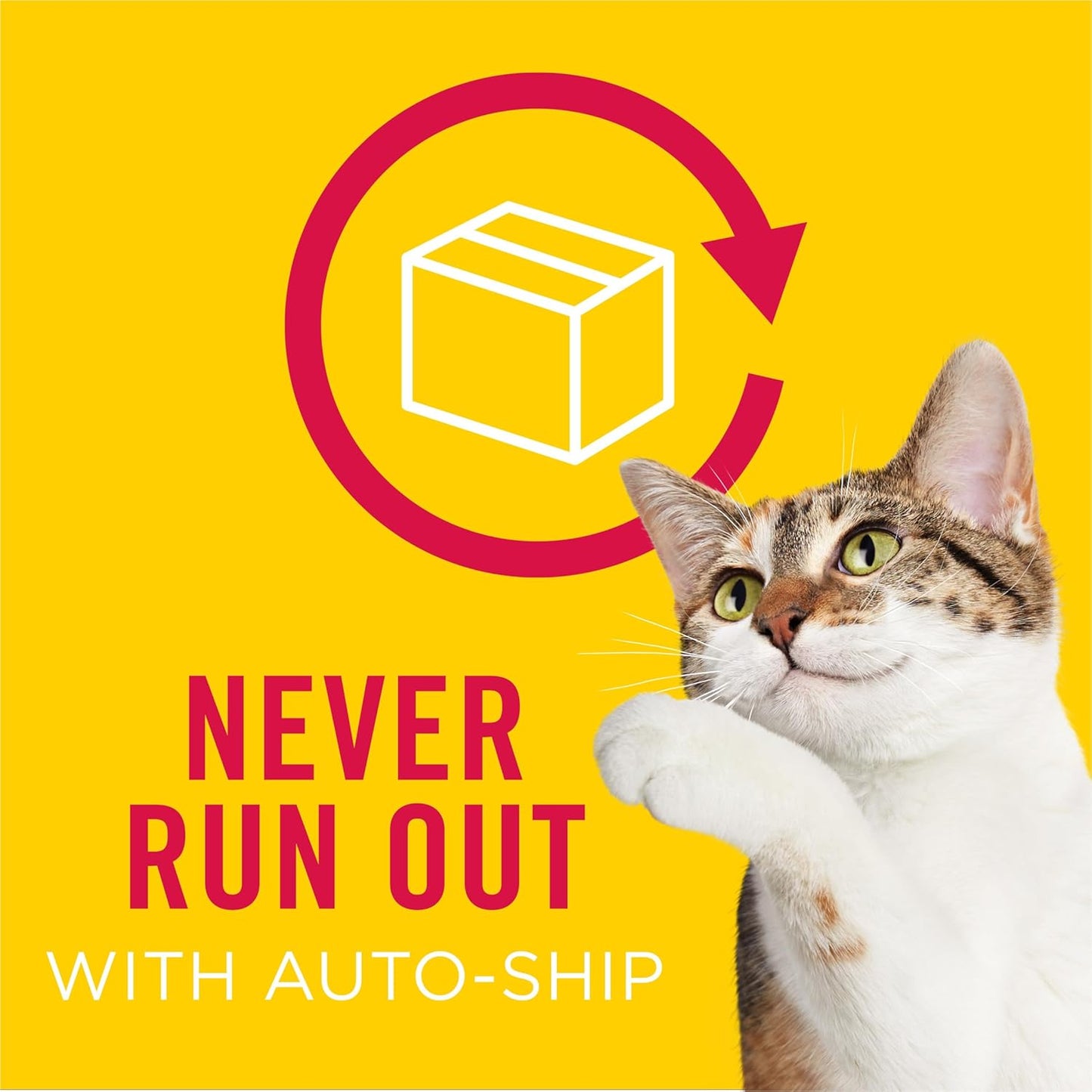 Purina Friskies Wet Cat Food Pate, Pate Salmon Dinner - (Pack of 24) 5.5 oz. Cans