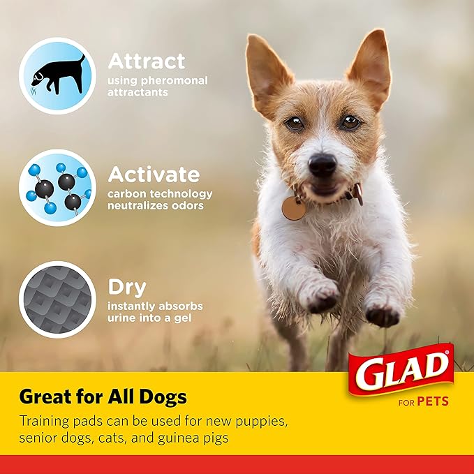 Glad for Pets Black Charcoal Puppy Pads, 23"x23" Disposable Pee Pad That Absorbs & Neutralizes Urine Instantly, Activated Carbon Training Pads For Dogs, Potty Training Supplies - 100 Count