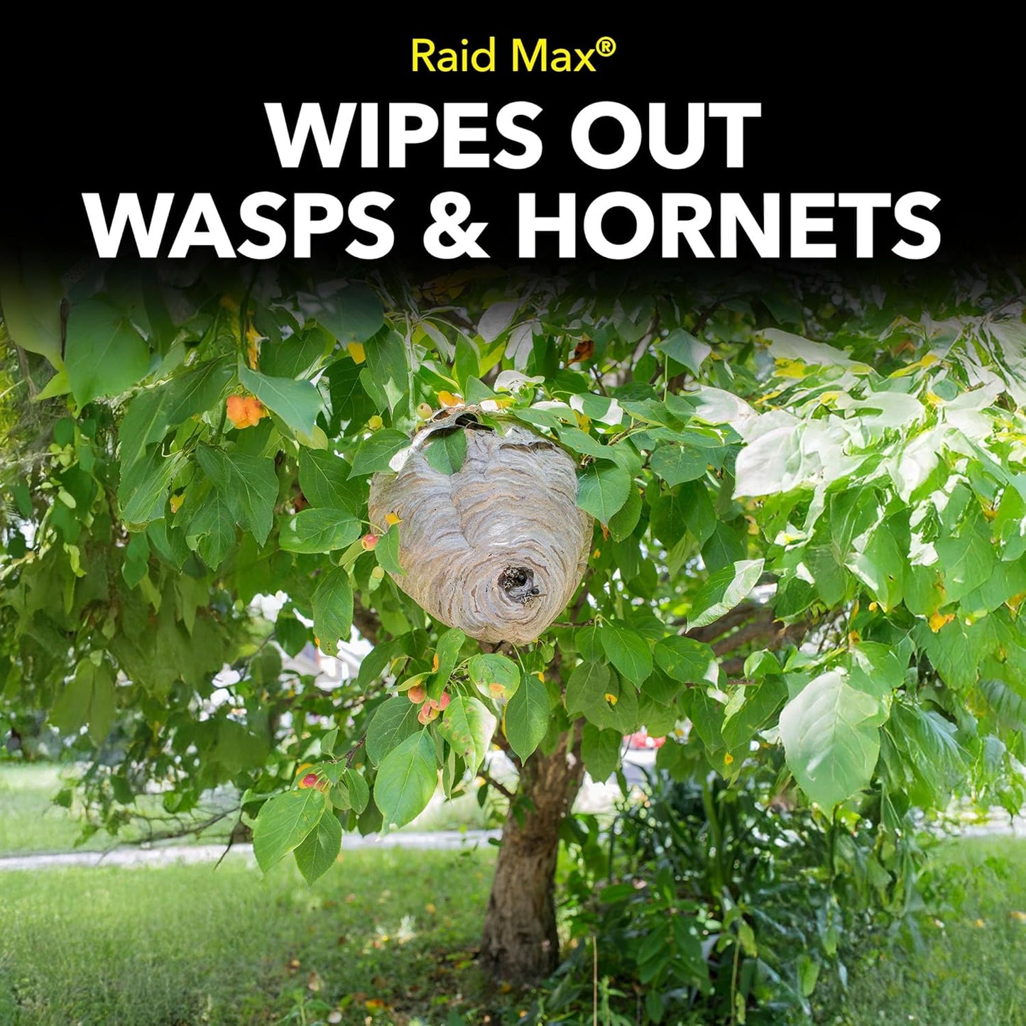 Raid Max Foaming Wasp & Hornet Killer, Fast Coverage Foam, Bug Killer Kills The Entire Nest, 16.5 oz