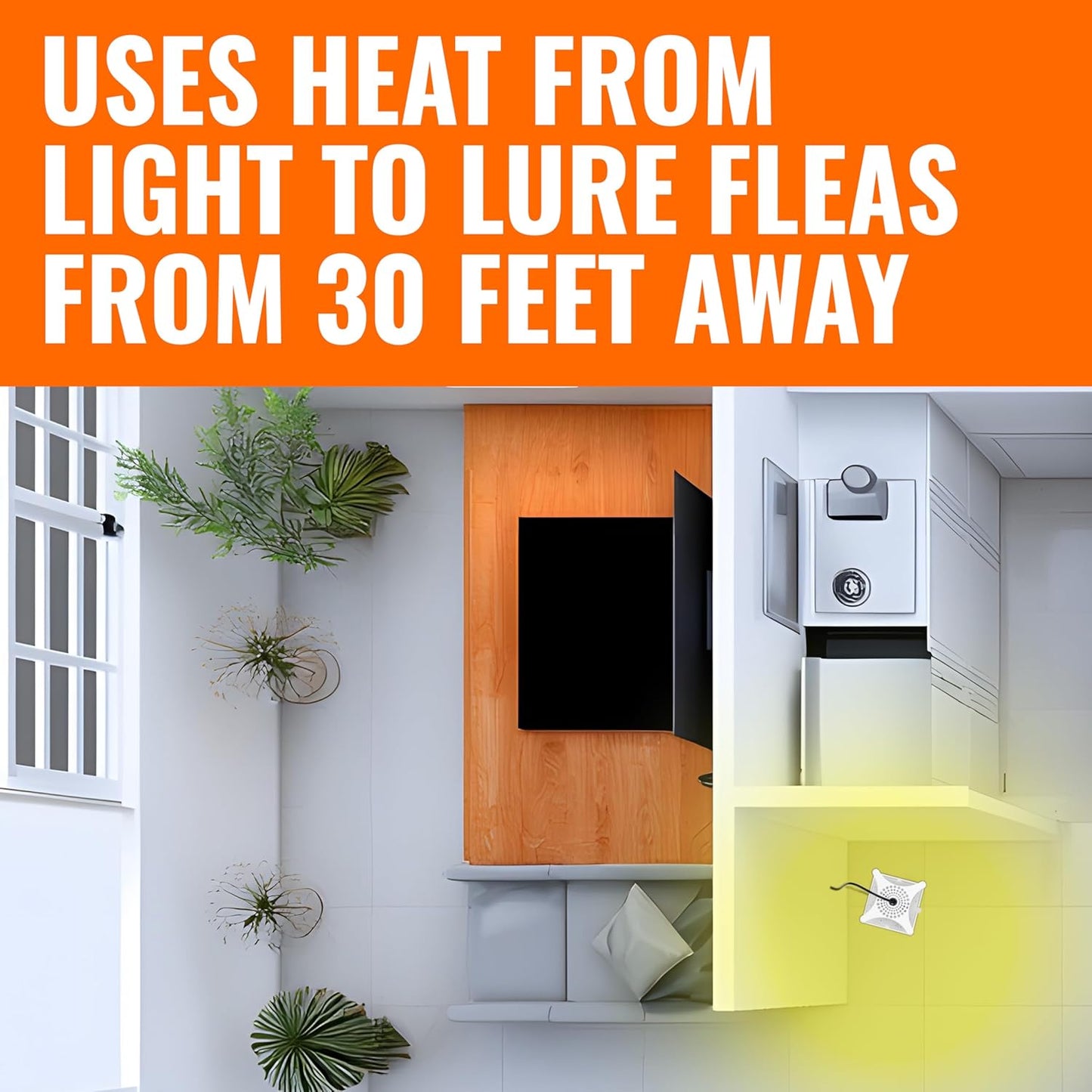 Terro T230 Indoor Electric Flea Trap and Killer - Refillable Flea Traps for Inside Your Home