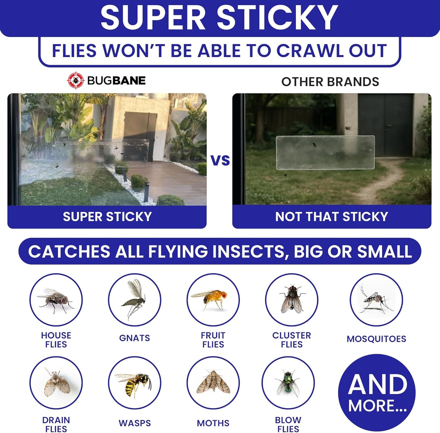 50 Window Fly Traps Sticky Non-Toxic Clear Fly Paper Indoor for Home. No Mess Flies Window Sticky Traps Bug Flies Strips Indoors. Fruit and Housefly Trap Indoor Flypaper Tape Gnat Catcher Killer