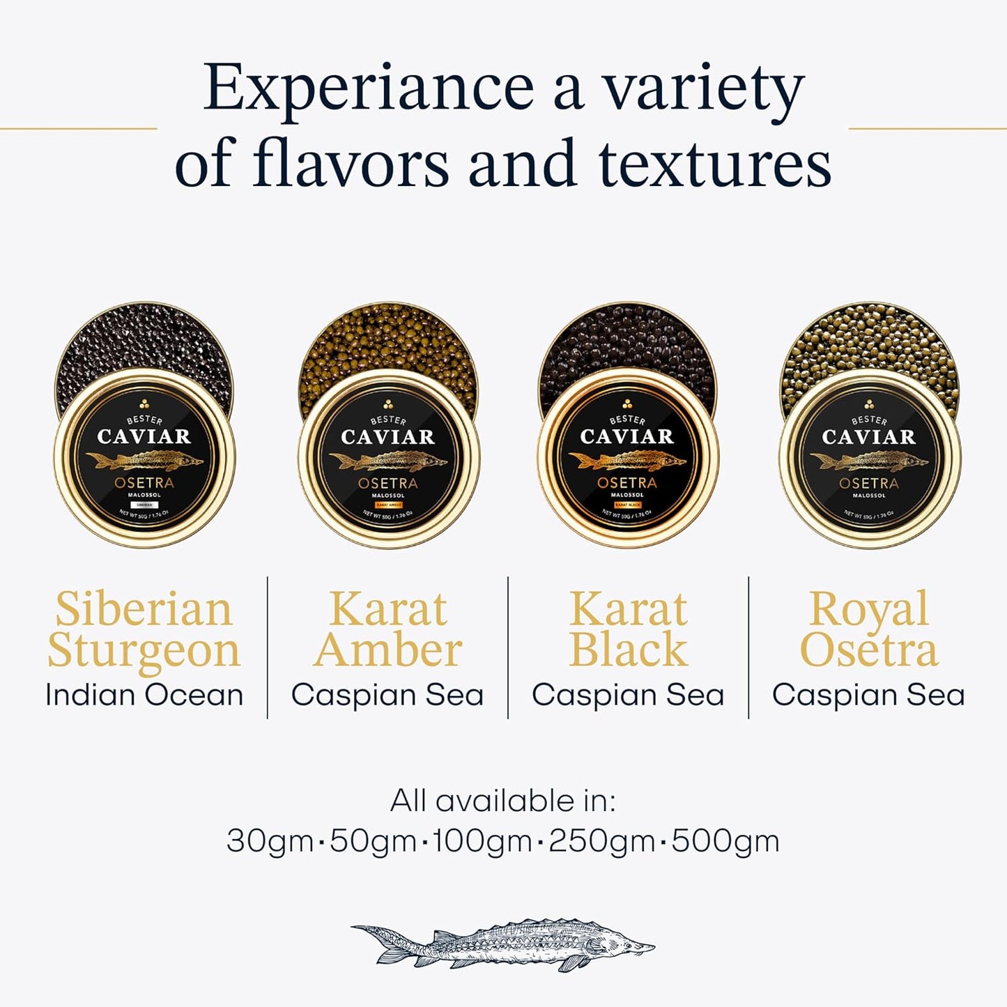 OVERNIGHT GUARANTEED, Bester’s Royal Beluga Hybrid Caviar Gift Set - Rated Best Black Caviar in the World, 1oz (28G) Glass Jar with Free Blinis, Spoons, Gift Set (Huso huso x baerii)