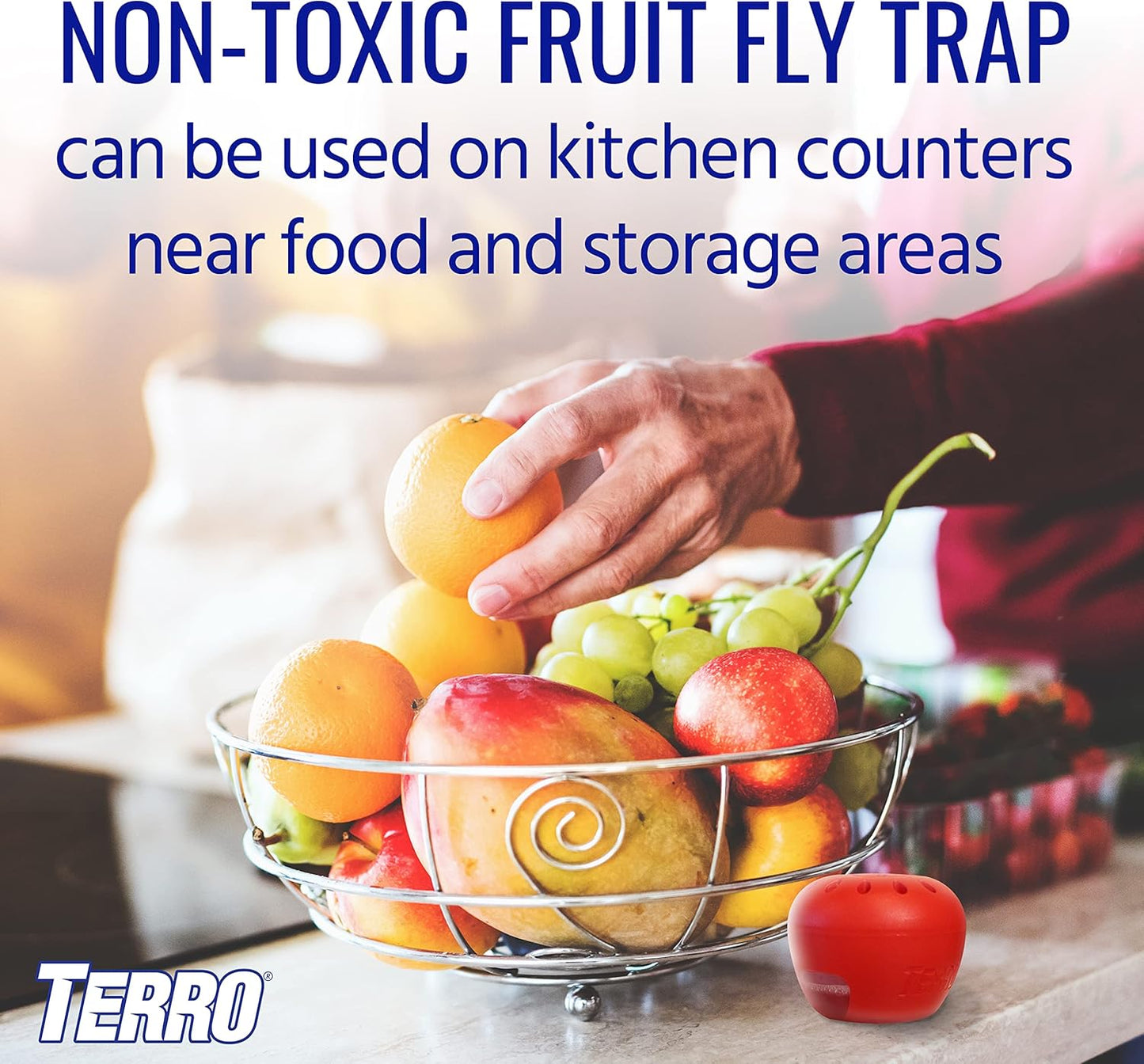 TERRO Fruit Fly Traps for Indoors (4 Pack) + 180 Days of Lure Supply - T2503SR - Lure and Kill Indoor Fruit Flies Near Fruit, Trash Cans, Countertops - Ready to Use Trap - 180 Day Supply