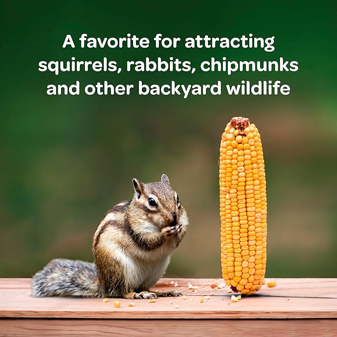 Kaytee Corn on the Cob for Squirrels & Wildlife – 6.5 lb Bag