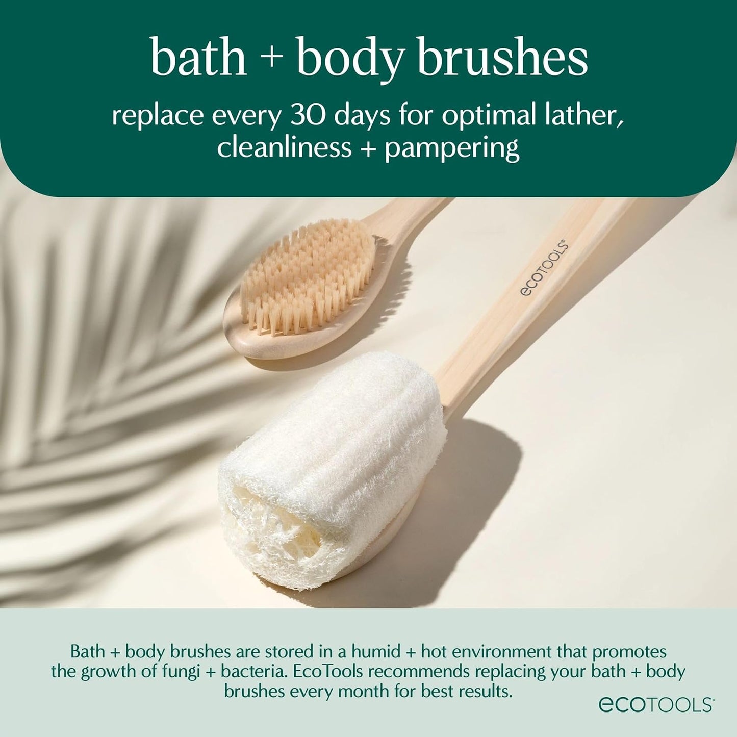 EcoTools Dry Body Brush, Cruelty-Free Bristles Exfoliate & Smooth Skin, Dry Brushing Removes Flaky Skin, May Help Improve Circulation & Tone, Eco-Friendly Skincare Tool, Vegan & Cruelty-Free, 1 Count