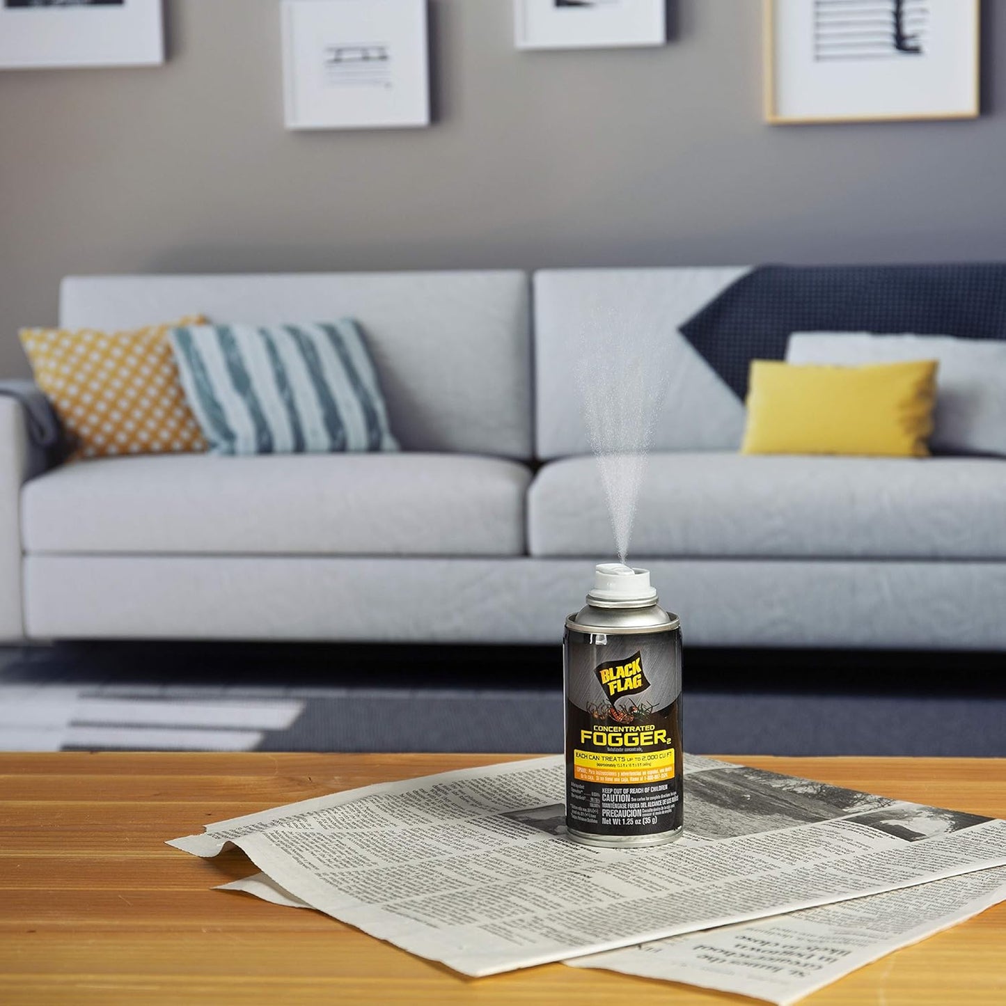 Black Flag Indoor Fogger, Pack of 6