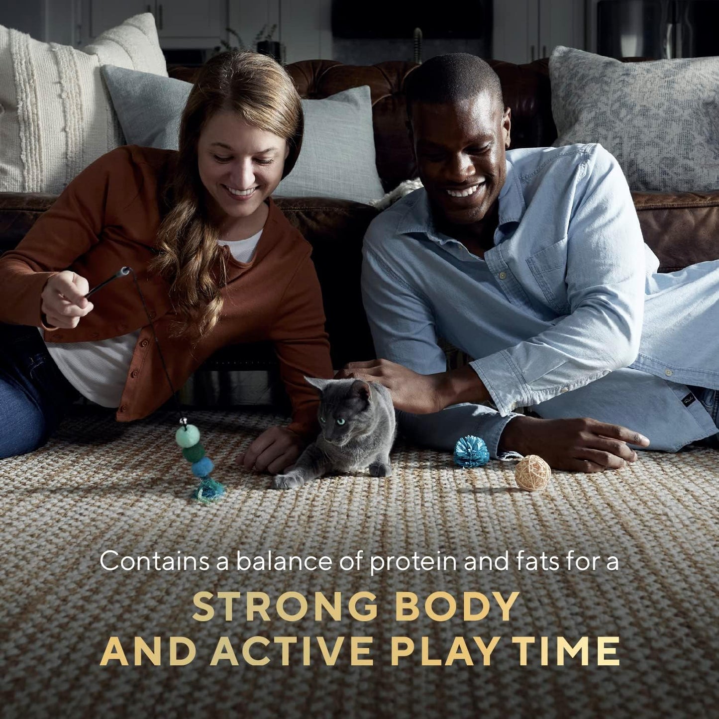 Sheba Perfect Portions Kitten Wet Cat Food Pate Chicken Entree and Salmon Entree, 2.6 oz. Twin-Pack Trays (12 Count, 24 Servings) (Pack of 2)