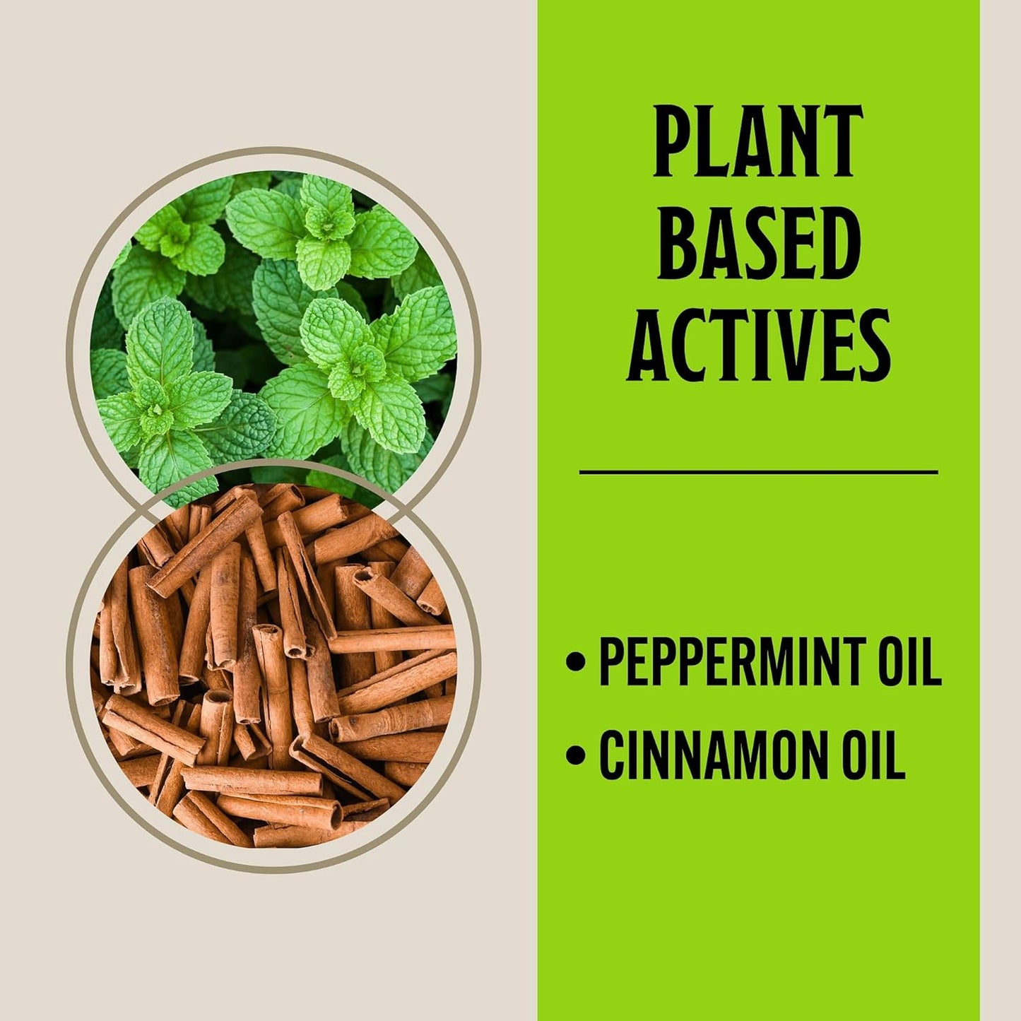 Grandpa Gus’s Extra-Strength Mouse Repellent Pouches, Peppermint & Cinnamon Oil, Natural Rodent Deterrent Control for Garage, RV, Car, Basement, Attic, Storage, 1.75 Oz (Pack of 10)