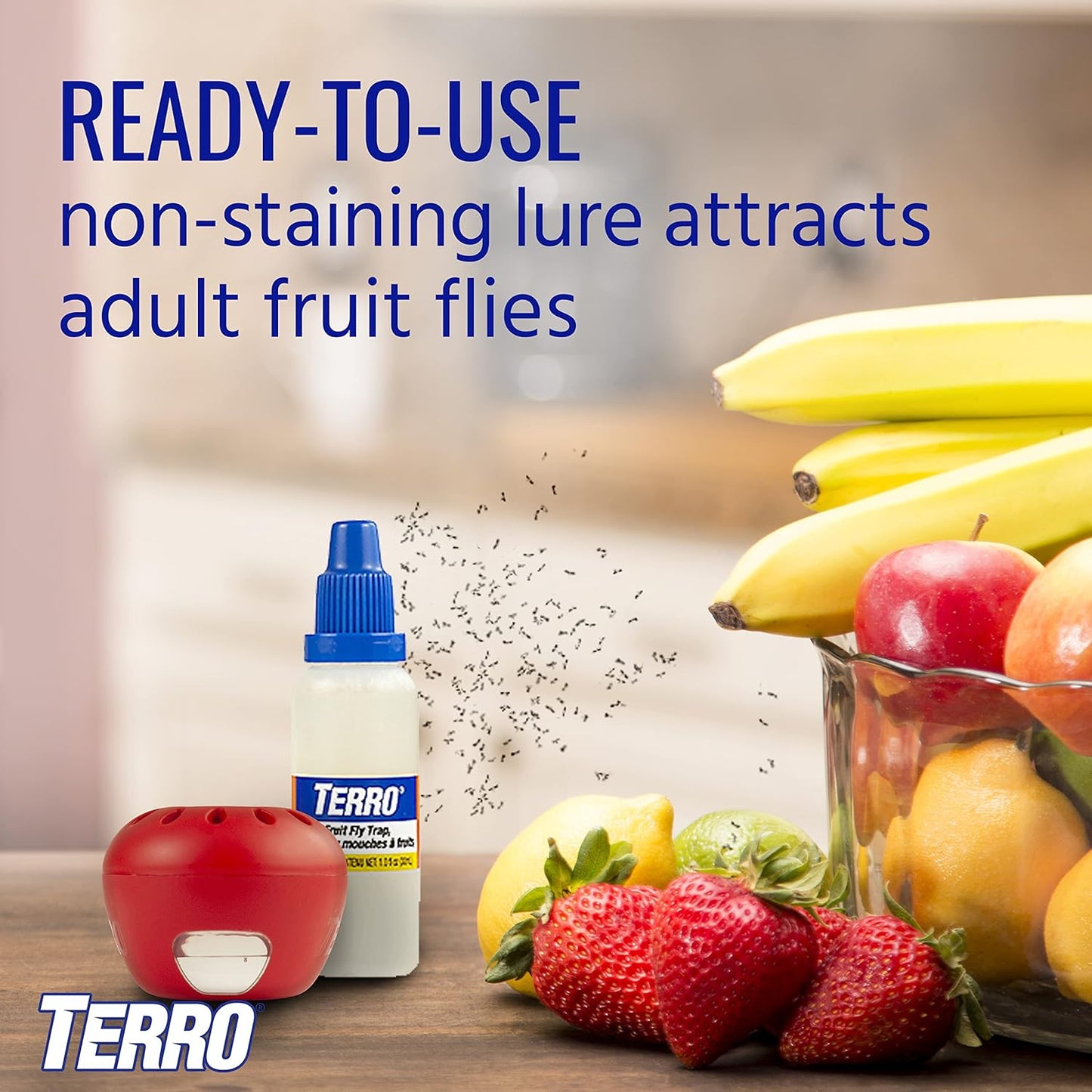 TERRO Fruit Fly Traps for Indoors (4 Pack) + 180 Days of Lure Supply - T2503SR - Lure and Kill Indoor Fruit Flies Near Fruit, Trash Cans, Countertops - Ready to Use Trap - 180 Day Supply