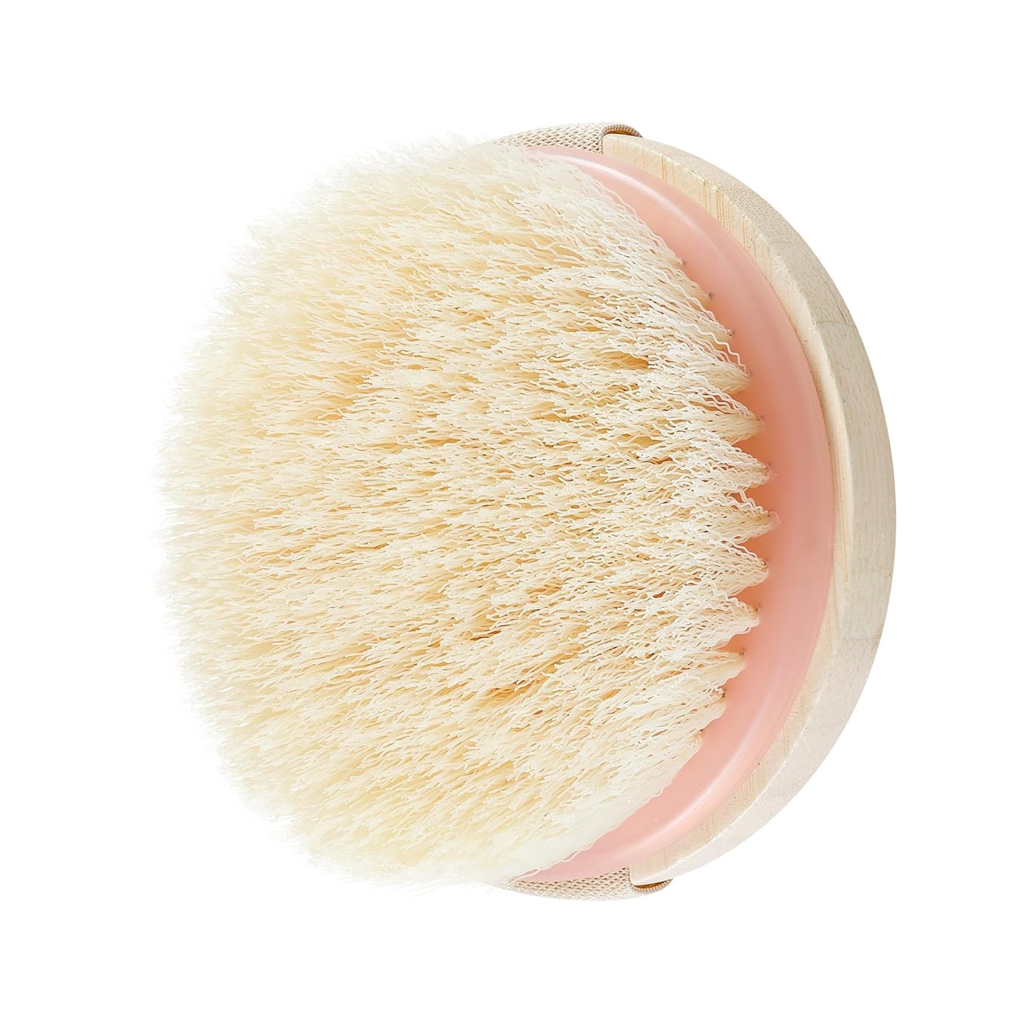 EcoTools Dry Body Brush, Cruelty-Free Bristles Exfoliate & Smooth Skin, Dry Brushing Removes Flaky Skin, May Help Improve Circulation & Tone, Eco-Friendly Skincare Tool, Vegan & Cruelty-Free, 1 Count