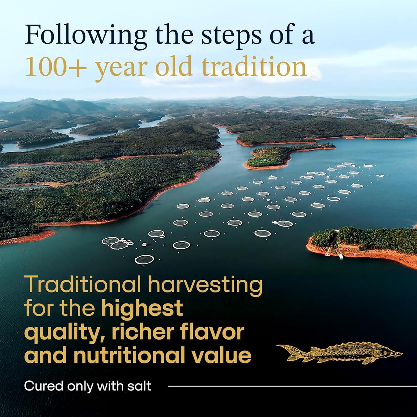 OVERNIGHT GUARANTEED, Bester’s Royal Beluga Hybrid Caviar Gift Set - Rated Best Black Caviar in the World, 1oz (28G) Glass Jar with Free Blinis, Spoons, Gift Set (Huso huso x baerii)