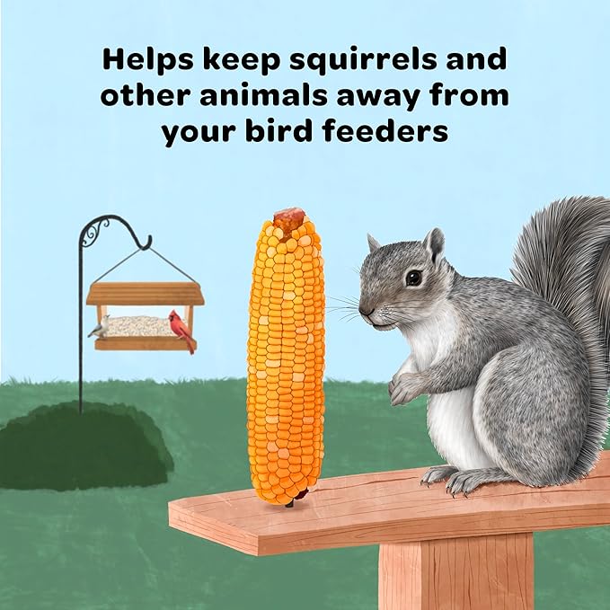 Kaytee Corn on the Cob for Squirrels & Wildlife – 6.5 lb Bag