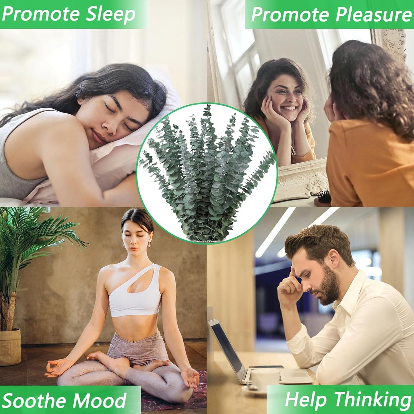 10 Pcs Dried Eucalyptus Stems 17" Real Eucalyptus for Shower Hanging 100% Made from Fresh Leaves, Wedding, Home, Farmhouse, DIY Spring Decor Bathroom Decor Home Decor