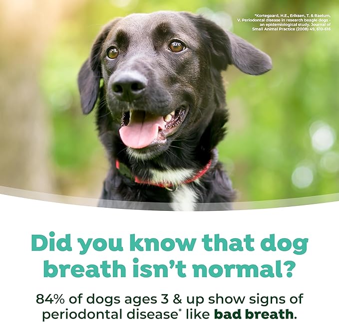 TropiClean Fresh Breath Water Additive for Dogs | Dog Breath Freshener & Teeth Cleaning Solution | No Toothpaste or Toothbrush Required | 33.8 oz