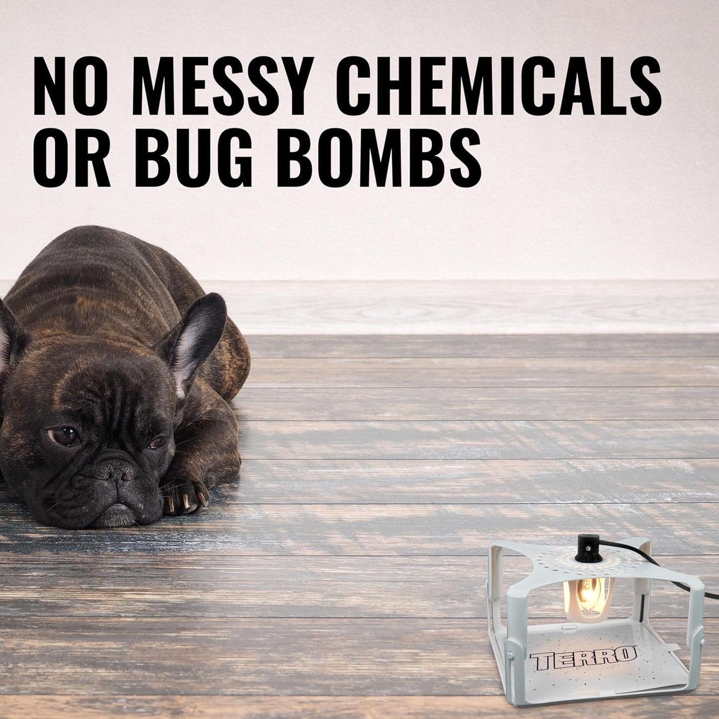 Terro T230 Indoor Electric Flea Trap and Killer - Refillable Flea Traps for Inside Your Home