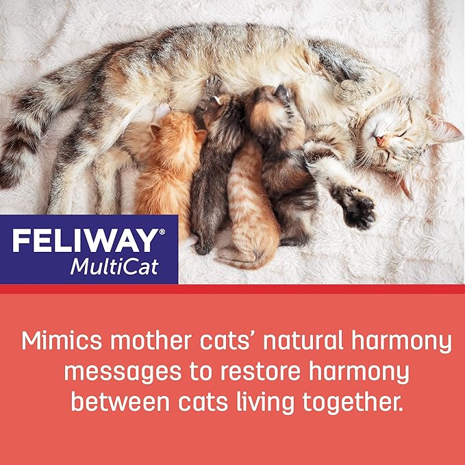 FELIWAY MultiCat 30 Day Cat Calming Refill for Pheromone Diffuser, 48ml - 1x 30 Day - Helps Reduce Conflicts and Signs of Tension in Multi-Cat Households