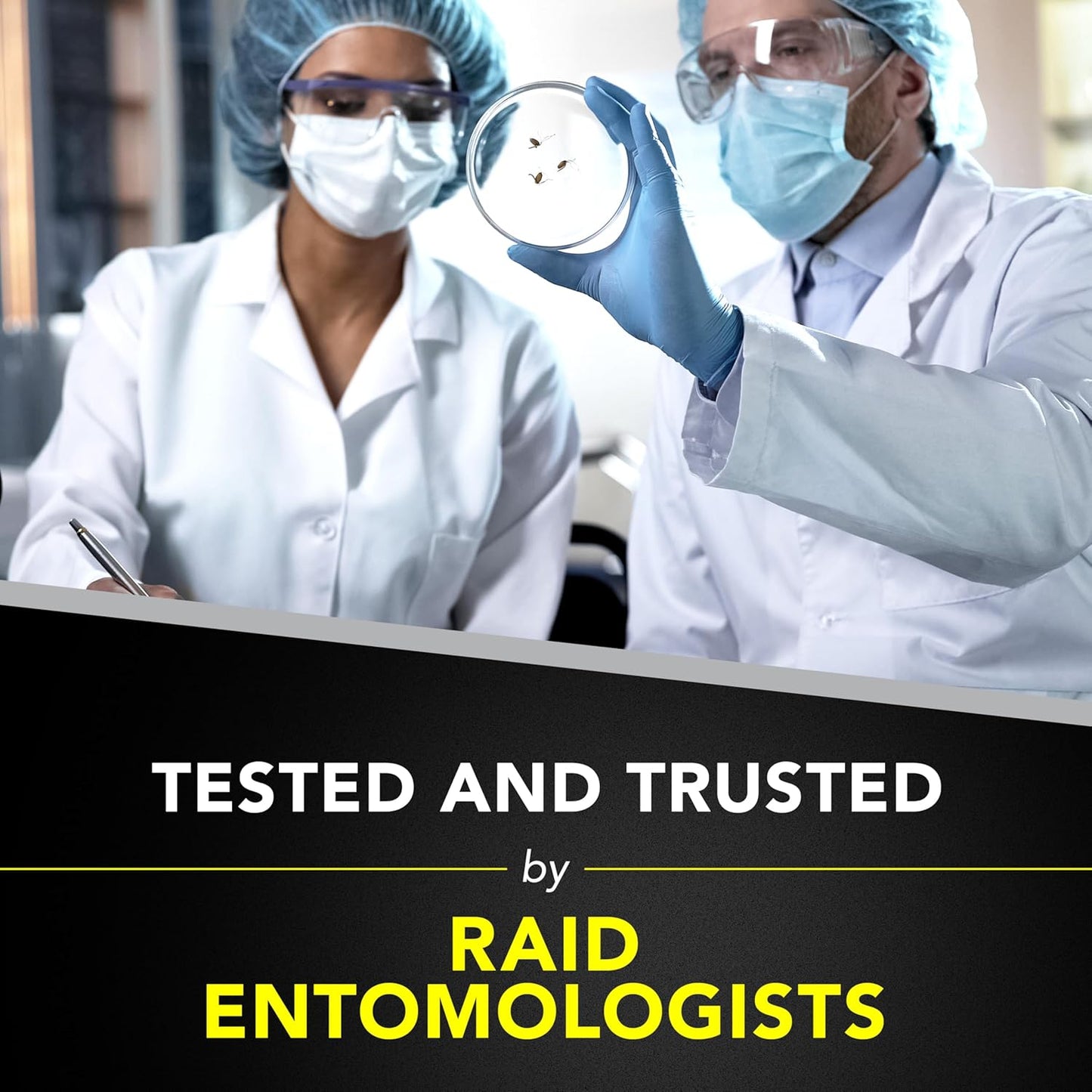 Raid Wasp & Hornet Killer Spray, Bug Killer Kills the Entire Nest, 14 Oz, 2 Count