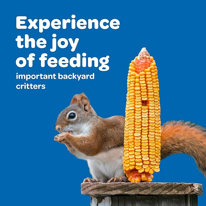 Kaytee Corn on the Cob for Squirrels & Wildlife – 6.5 lb Bag