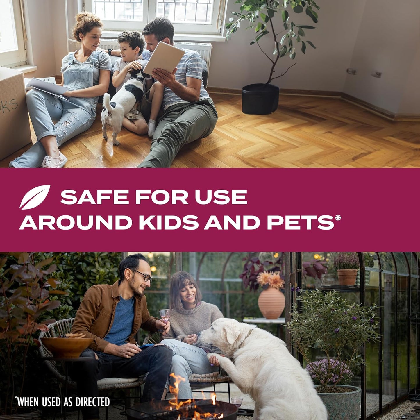 STEM Kills Ants, Roaches and Flies: Plant-Based Active Ingredient Bug Spray, Botanical Insecticide For Indoor And Outdoor Use; 12 fl oz (Pack Of 1)