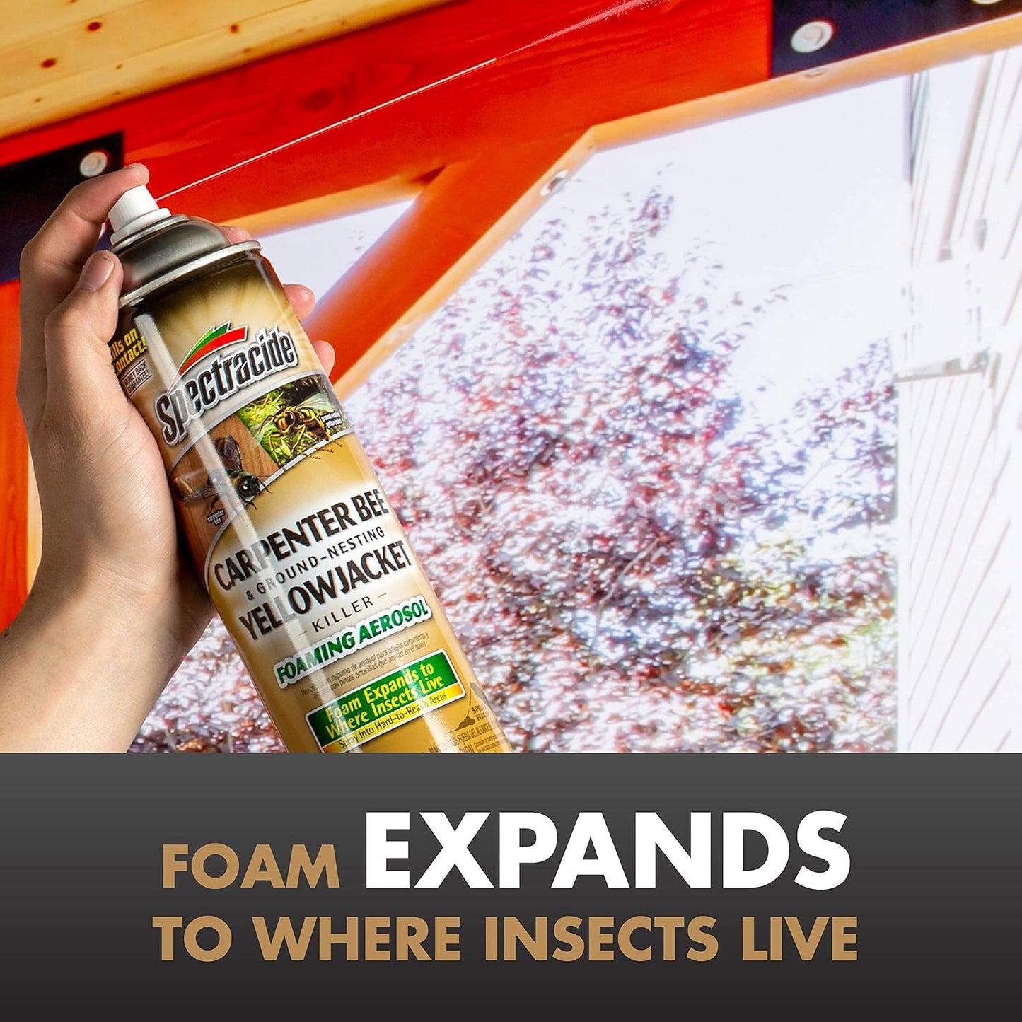 Spectracide Carpenter Bee and Ground Nesting Yellow Jacket Foaming Aerosol, 16-Ounce