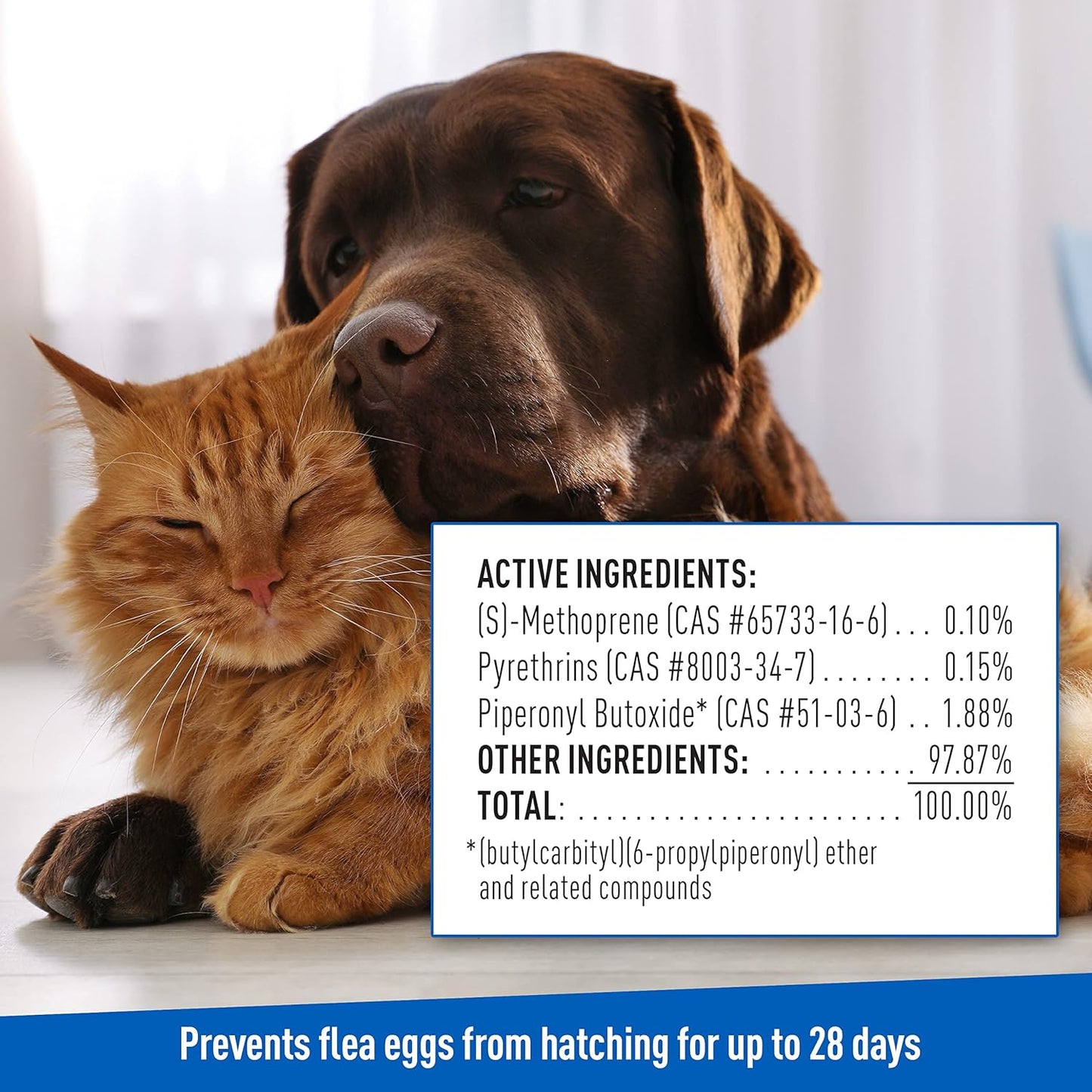 Plus Flea & Tick Shampoo with Precor for Cats, Kittens, Dogs & Puppies Over 12 Weeks Of Age Sensitive Skin Flea Treatment | Kills Adult Fleas, Flea Eggs, Ticks, and Lice| 12 Ounces