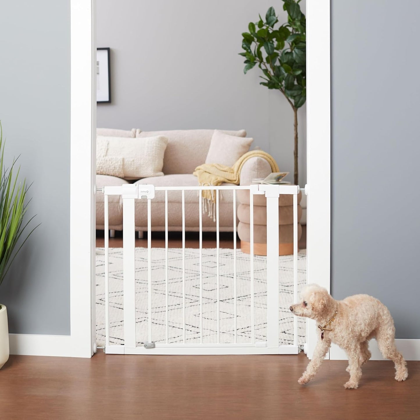 Dog standing next to a white pet gate in a living room.