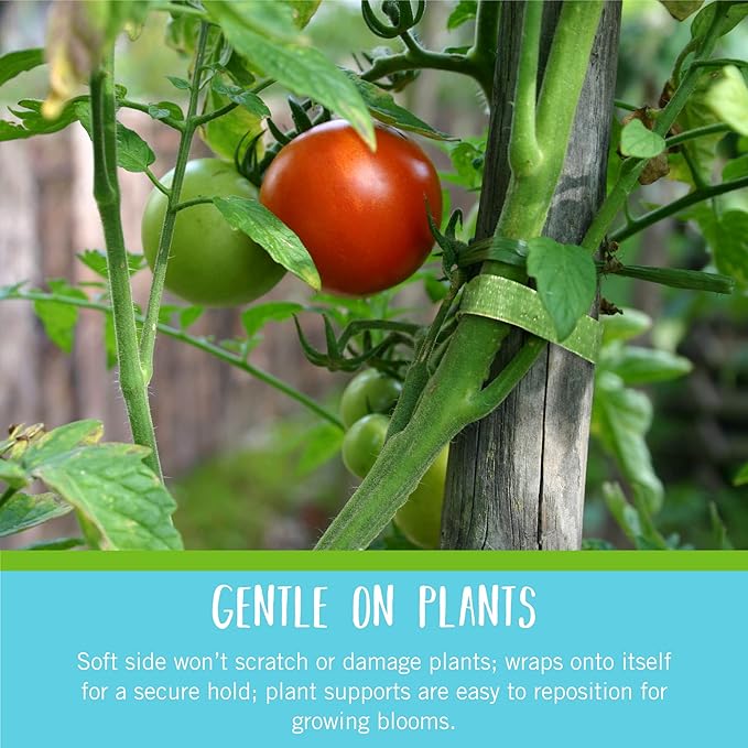 VELCRO Brand VEL-30071-USA ONE-WRAP Garden Ties | Plant Supports for Effective Growing | Strong Grips are Reusable and Adjustable | Cut-to-Length, 50 ft x 1/2 in, Green-Recycled Plastic - Cart Shape