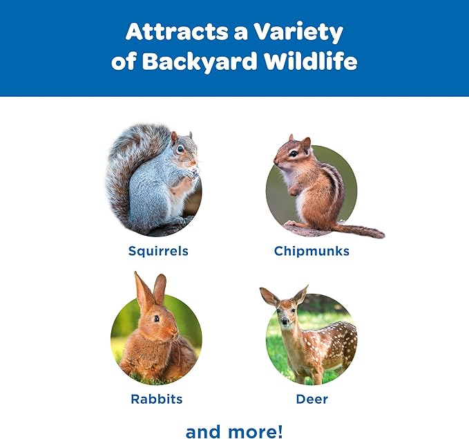 Kaytee Corn on the Cob for Squirrels & Wildlife – 6.5 lb Bag