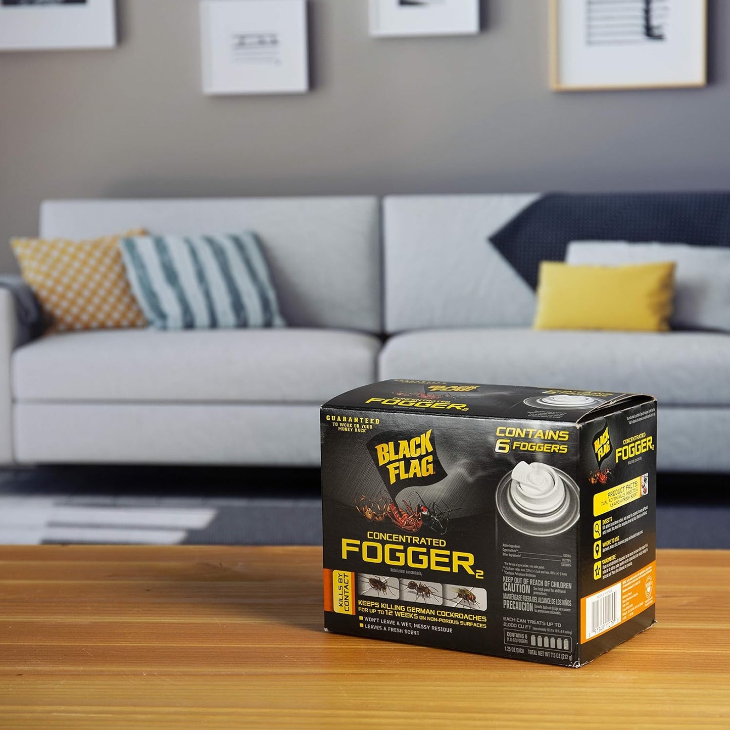 Black Flag Indoor Fogger, Pack of 6