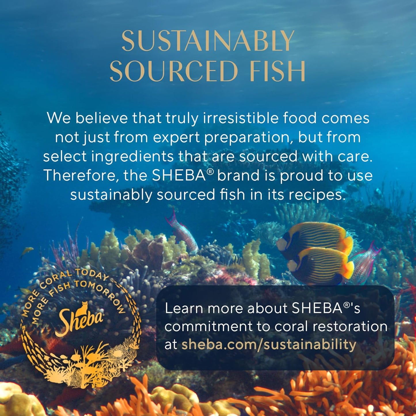 Sheba Perfect Portions Wet Cat Food Pate with Sustainable Salmon, Signature Seafood Entree, and Tender White Fish and Tuna Entree Variety Pack, 2.6 oz. Twin Pack Trays (24 Count, 48 Servings)