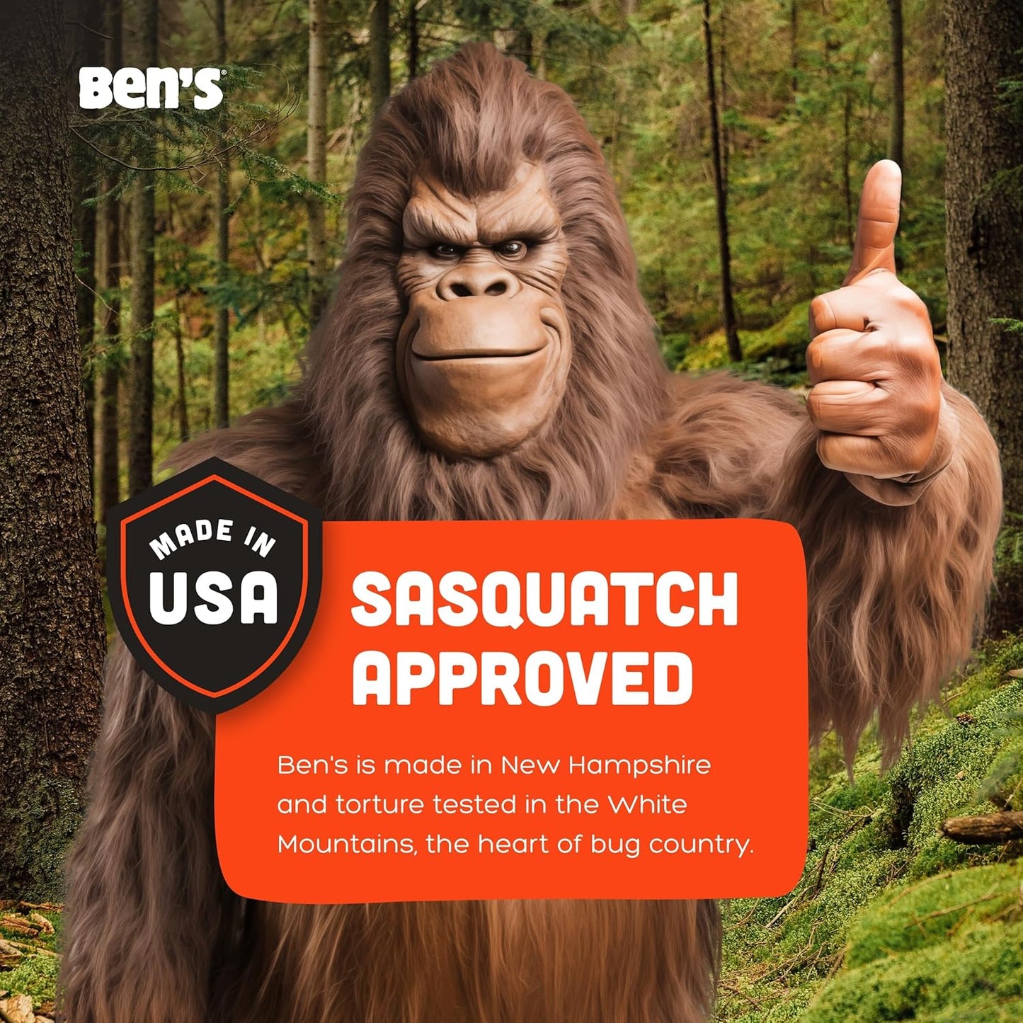 Ben's 100 Tick & Insect Repellent - Alcohol-Free DEET Insect Repellent Pump Spray - Offers 10 Hours of Protection for Adults & Children -3.4 Fl Oz (2 Pack)