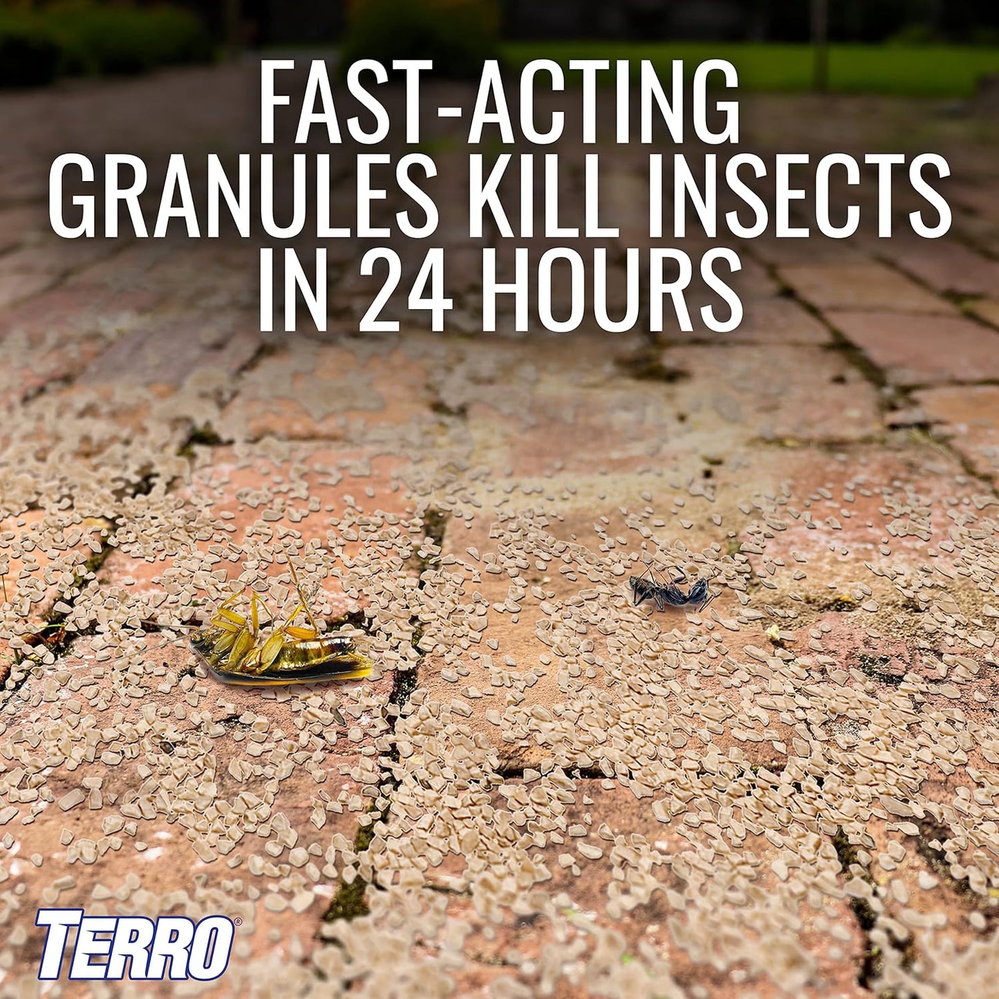 TERRO T901-6 Ant Killer Plus Multi-Purpose Insect Control for Outdoors - Kills Fire Ants, Fleas, Cockroaches, and Other Crawling Insects - 3lb
