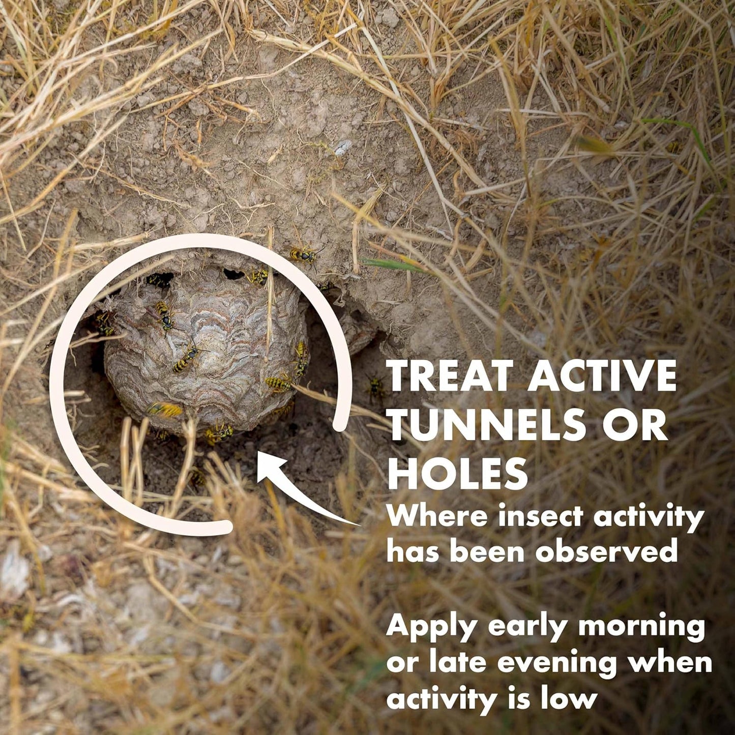 Spectracide Carpenter Bee and Ground Nesting Yellow Jacket Foaming Aerosol, 16-Ounce