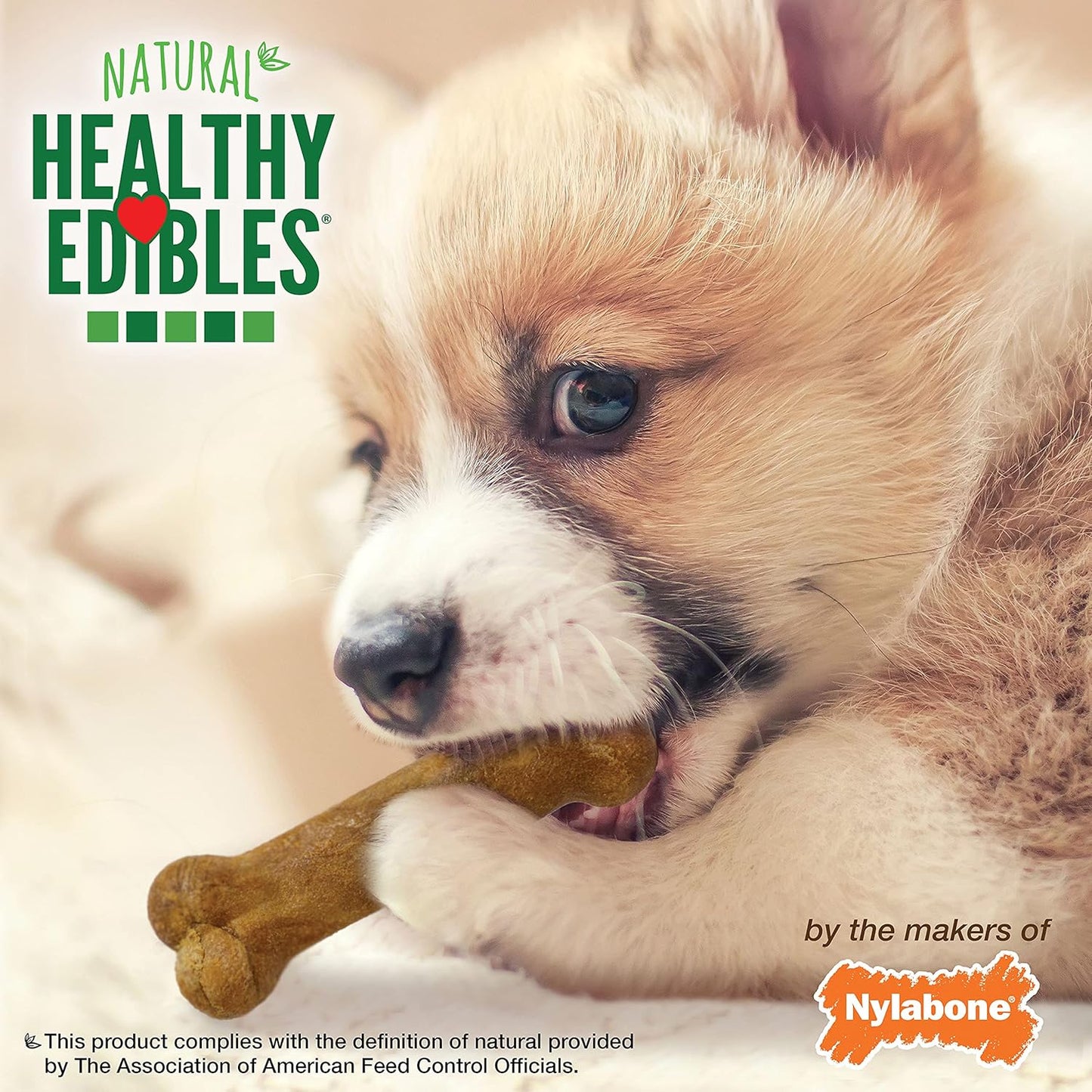 Nylabone Healthy Edibles Natural Puppy Chews Long Lasting Treats for Puppies, Roast Beef, Apple & Bacon Flavor, X-Small/Petite (3 Count)